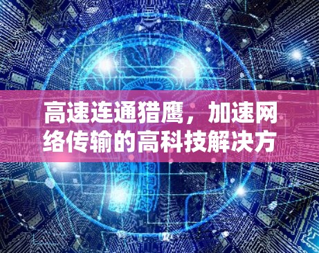 高速连通猎鹰，加速网络传输的高科技解决方案