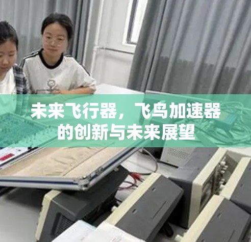 未来飞行器，飞鸟加速器的创新与未来展望