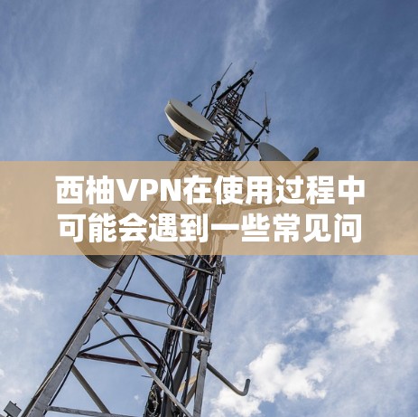 西柚VPN在使用过程中可能会遇到一些常见问题，以下是一些可能的问题及其解决方案