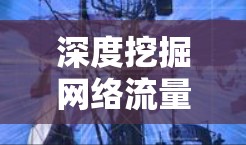 深度挖掘网络流量，安全无忧，豆荚VPN全解析