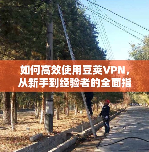 如何高效使用豆荚VPN，从新手到经验者的全面指南