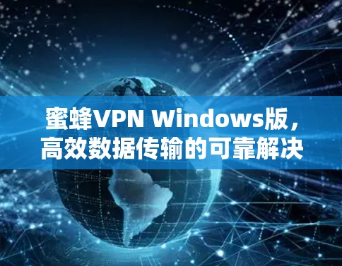 蜜蜂VPN Windows版，高效数据传输的可靠解决方案