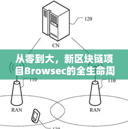 从零到大，新区块链项目Browsec的全生命周期解析