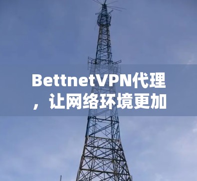 BettnetVPN代理，让网络环境更加安全与高效