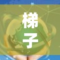 梯子的启示 梯子的启示