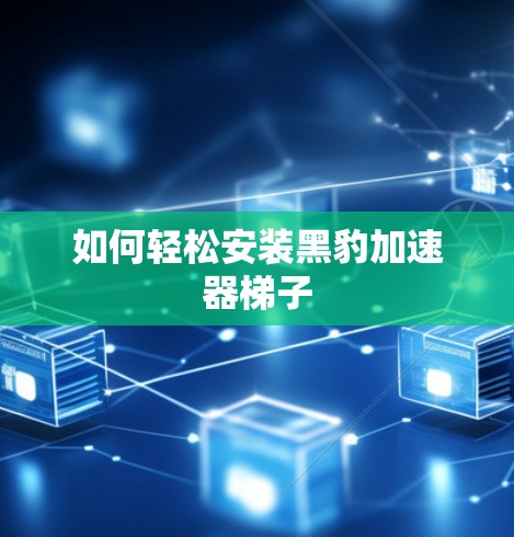 如何轻松安装黑豹加速器梯子 如何轻松安装黑豹加速器梯子