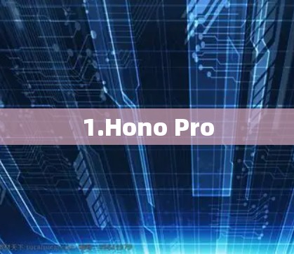 1.Hono Pro 1.Hono Pro