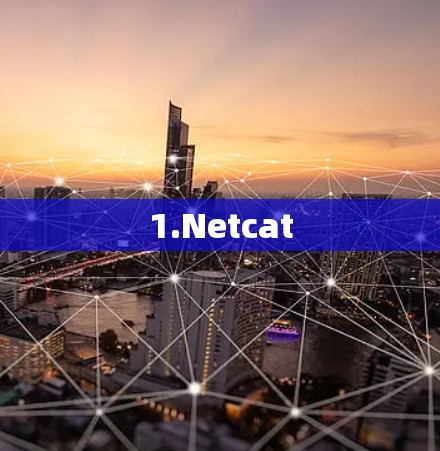 1.Netcat 1.Netcat