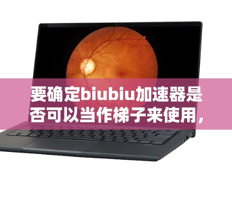 要确定biubiu加速器是否可以当作梯子来使用,需从以下几个方面进行分析 要确定biubiu加速器是否可以当作梯子来使用,需从以下几个方面进行分析