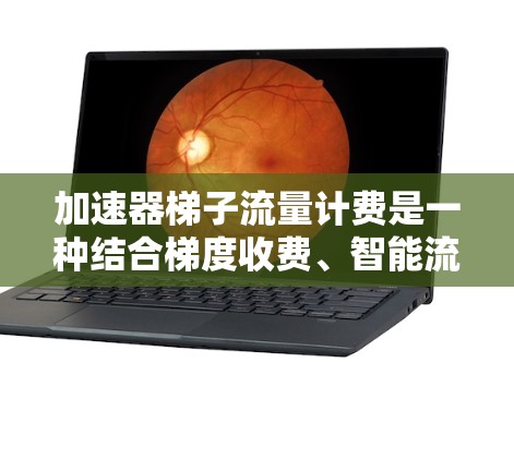 加速器梯子流量计费是一种结合梯度收费、智能流量管理和技术的流量计费方案,旨在帮助用户控制流量费用,提升用户体验。以下是对该计费方式的详细介绍 加速器梯子流量计费是一种结合梯度收费、智能流量管理和技术的流量计费方案,旨在帮助用户控制流量费用,提升用户体验。以下是对该计费方式的详细介绍