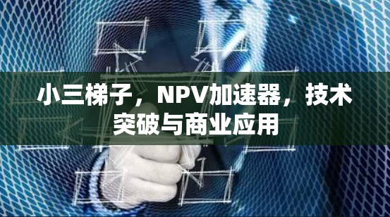 小三梯子,NPV加速器,技术突破与商业应用 小三梯子,NPV加速器,技术突破与商业应用