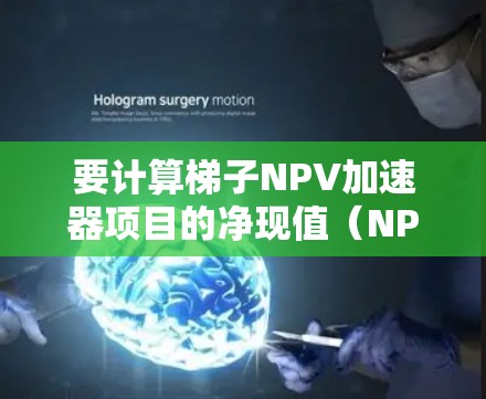 要计算梯子NPV加速器项目的净现值(NPV)可以按照以下步骤进行 要计算梯子NPV加速器项目的净现值(NPV)可以按照以下步骤进行