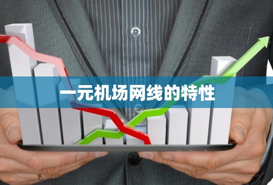 一元机场网线的特性 一元机场网线的特性