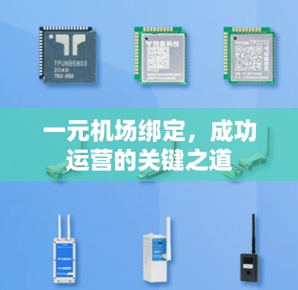 一元机场绑定,成功运营的关键之道 一元机场绑定,成功运营的关键之道