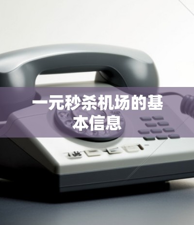 一元秒杀机场的基本信息 一元秒杀机场的基本信息