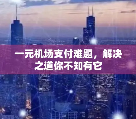 一元机场支付难题,解决之道你不知有它 一元机场支付难题,解决之道你不知有它