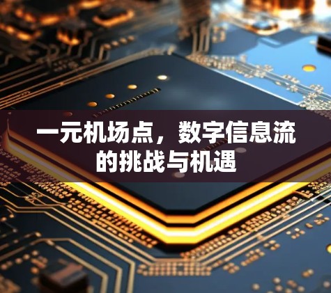 一元机场点,数字信息流的挑战与机遇 一元机场点,数字信息流的挑战与机遇