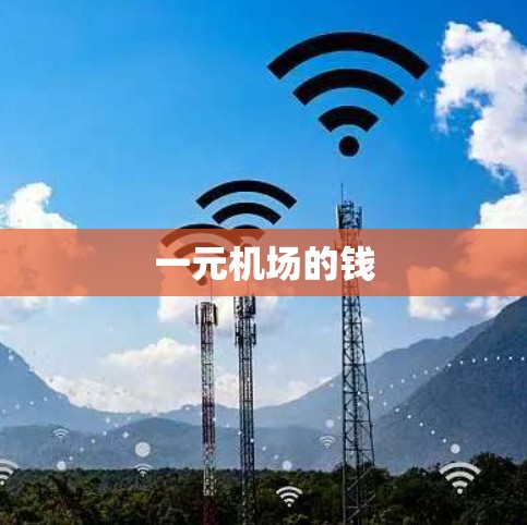 一元机场的钱 一元机场的钱