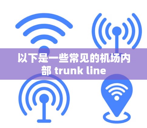 以下是一些常见的机场内部 trunk line 以下是一些常见的机场内部 trunk line