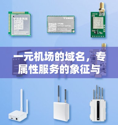一元机场的域名,专属性服务的象征与未来展望 一元机场的域名,专属性服务的象征与未来展望