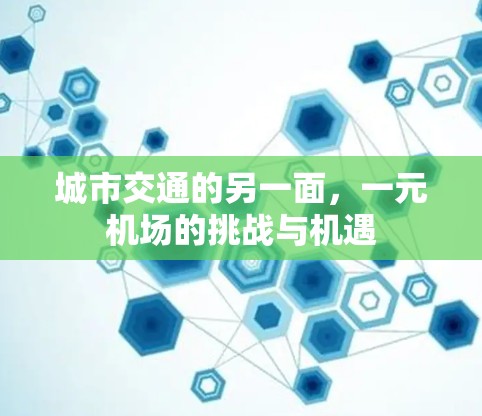 城市交通的另一面,一元机场的挑战与机遇 城市交通的另一面,一元机场的挑战与机遇
