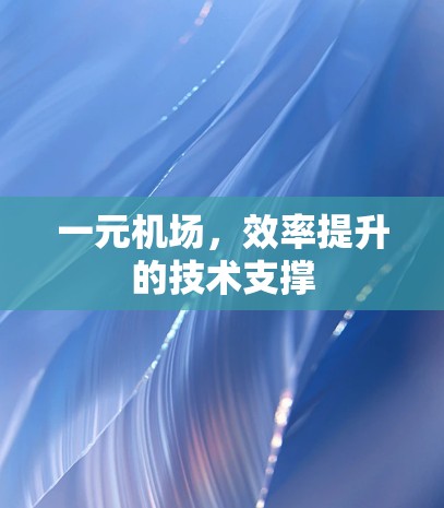一元机场,效率提升的技术支撑 一元机场,效率提升的技术支撑