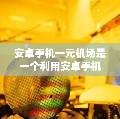 安卓手机一元机场是一个利用安卓手机和现代技术管理机场入境服务的系统，旨在提高机场管理效率和入境人员的安全。以下是对该系统的详细分析