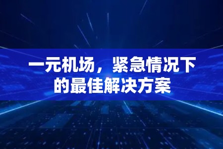 一元机场,紧急情况下的最佳解决方案 一元机场,紧急情况下的最佳解决方案