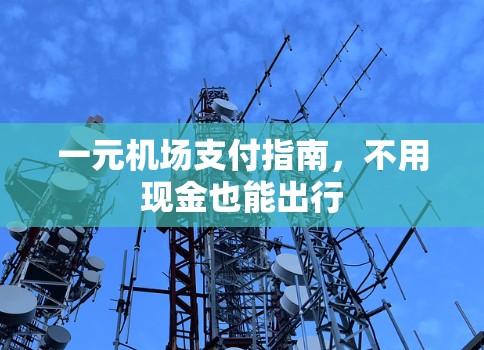 一元机场支付指南,不用现金也能出行 一元机场支付指南,不用现金也能出行