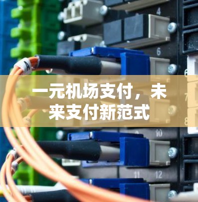 一元机场支付,未来支付新范式 一元机场支付,未来支付新范式