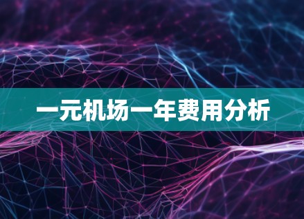 一元机场一年费用分析 一元机场一年费用分析