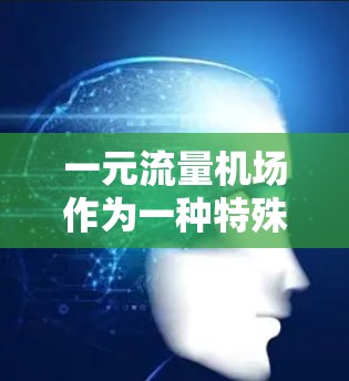 一元流量机场作为一种特殊的设计,其可行性取决于多个因素。以下是对一元流量机场的分析 一元流量机场作为一种特殊的设计,其可行性取决于多个因素。以下是对一元流量机场的分析