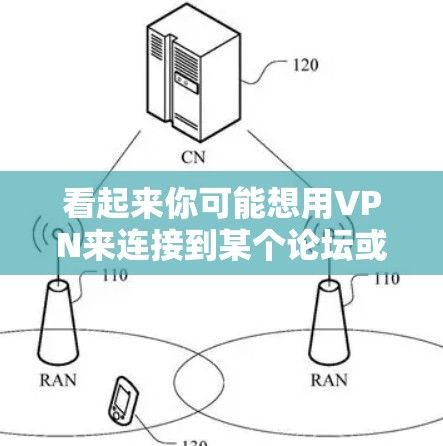 看起来你可能想用VPN来连接到某个论坛或网站。以下是使用VPN连接论坛的步骤 看起来你可能想用VPN来连接到某个论坛或网站。以下是使用VPN连接论坛的步骤