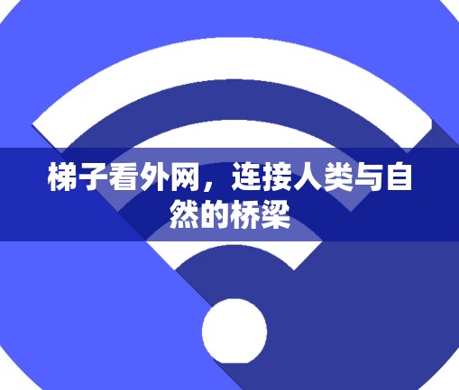 梯子看外网,连接人类与自然的桥梁 梯子看外网,连接人类与自然的桥梁
