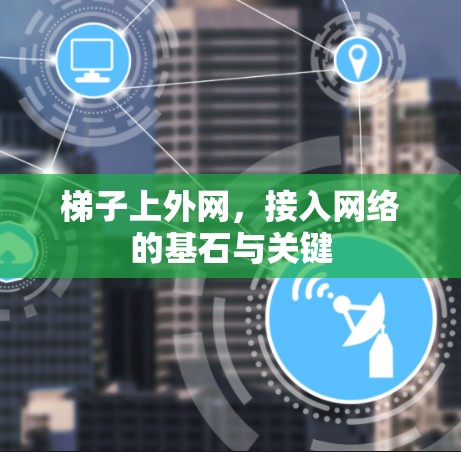 梯子上外网,接入网络的基石与关键 梯子上外网,接入网络的基石与关键