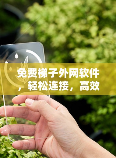 免费梯子外网软件，轻松连接，高效管理