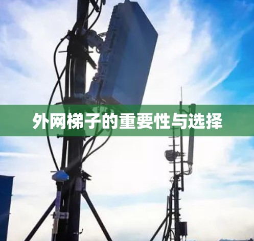 外网梯子的重要性与选择 外网梯子的重要性与选择