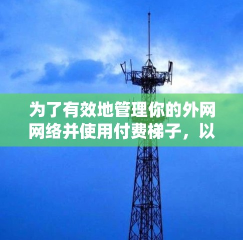 为了有效地管理你的外网网络并使用付费梯子,以下是一个系统化的步骤指南 为了有效地管理你的外网网络并使用付费梯子,以下是一个系统化的步骤指南