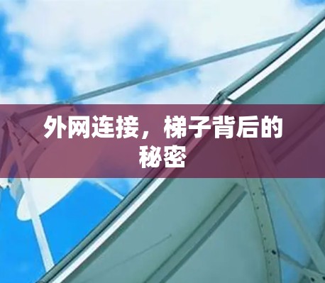 外网连接,梯子背后的秘密 外网连接,梯子背后的秘密