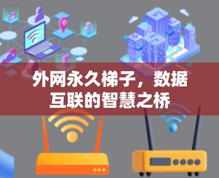 外网永久梯子,数据互联的智慧之桥 外网永久梯子,数据互联的智慧之桥