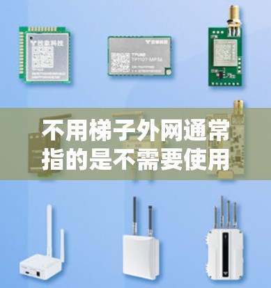 不用梯子外网通常指的是不需要使用梯子来固定或连接外网设备，比如路由器、交换机等。这可能是因为梯子的使用成本、固定方式的复杂性，或者需要特定的固定点等。以下是一些可能的替代方法