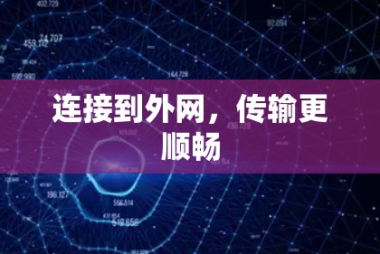 连接到外网,传输更顺畅 连接到外网,传输更顺畅