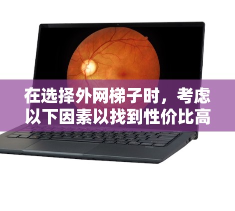 在选择外网梯子时，考虑以下因素以找到性价比高的产品
