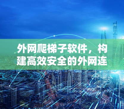 外网爬梯子软件，构建高效安全的外网连接管理平台
