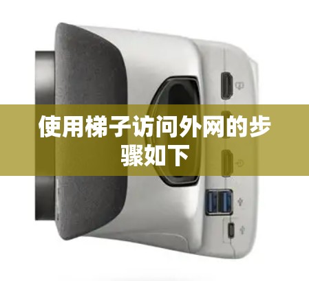 使用梯子访问外网的步骤如下
