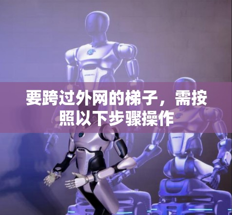 要跨过外网的梯子,需按照以下步骤操作 要跨过外网的梯子,需按照以下步骤操作