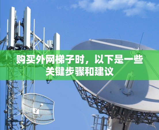 购买外网梯子时,以下是一些关键步骤和建议 购买外网梯子时,以下是一些关键步骤和建议