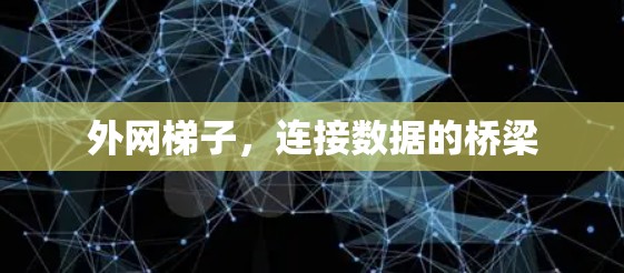 外网梯子,连接数据的桥梁 外网梯子,连接数据的桥梁