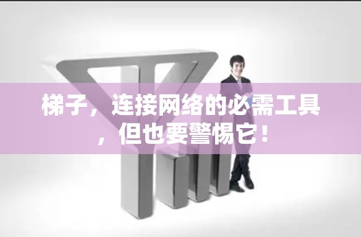梯子,连接网络的必需工具,但也要警惕它! 梯子,连接网络的必需工具,但也要警惕它!