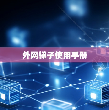 外网梯子使用手册
